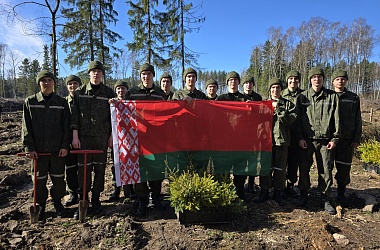 Фото: «Лес! Дабро! Парадак!»: военнослужащие 1-го радиотехнического центра высадили более 5000 деревьев в Порозовском лесничестве