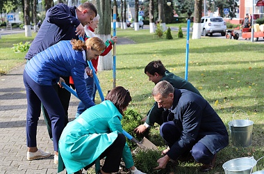 Фото: Аллея Единства и Славы появилась в сквере по улице 17 Сентября в Свислочи. Ее закладку приурочили к знаковой дате – Дню народного единства