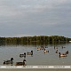 Фото: Где в Беларуси 6 октября ожидаются дожди и усиление ветра, рассказали синоптики