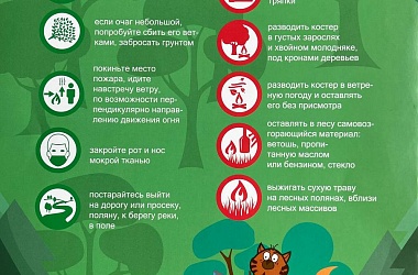 Фото: МЧС предупреждает: берегите лес от пожара!
