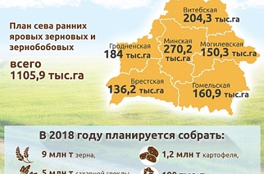 Фото: Инфографика: Посевная кампания - 2018