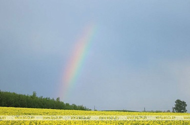 Фото: Дажджы і навальніцы чакаюцца ў Беларусі на бягучым тыдні
