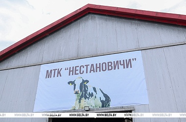 Фото: Рабочая суббота у Президента Беларуси. Александр Лукашенко приехал на МТК в Логойском районе
