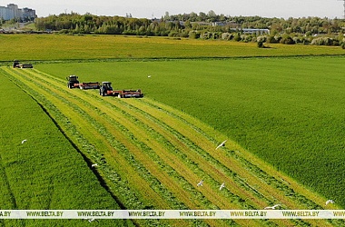 Фото: В Беларуси травы первого укоса скошены на 87,3% площадей от плана