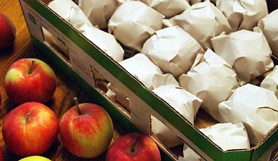 Фото: В чем польза яблок, что вкусное из них приготовить и как правильно хранить
