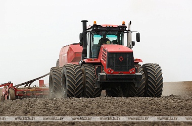 Фото: Spring planting complete in three Belarusian oblasts