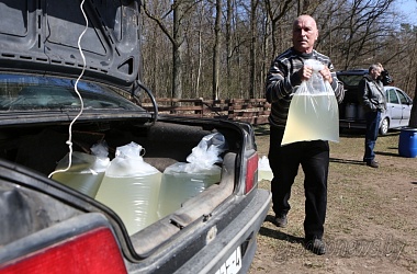 Фото: Из-за аномальной зимы заготовку березового сока на Гродненщине могут начать раньше
