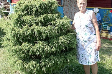 Фото: Кладезь для детей