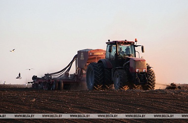 Фото: Сев озимых зерновых в Беларуси проведен на 20% площадей