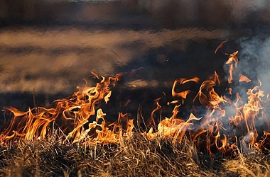Фото: Жгла траву – сожгла постройку. В Принеманье за минувшие выходные произошло 13 возгораний сухой травы