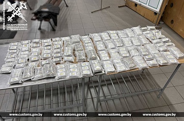 Фото: Жительница Гродно пыталась перевезти через границу более 50 кг гашиша