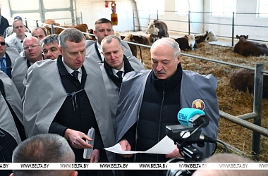 Фото: Белорусские животноводы нащупали "золотую жилу". Лукашенко изучил точки роста и поручил ускориться