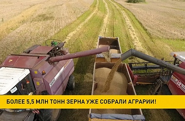 Фото: Жатва-2021: собрано более 5,5 миллионов тонн зерна