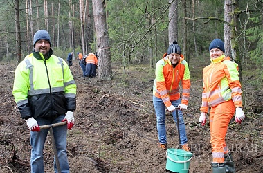 Фото: HS Belacon LLC employees took part in the Forest Week 