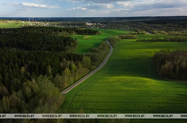 Фото: Belarus drafts state program Belarusian Forest for 2021-2025