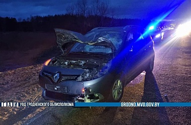 Фото: В Волковысском районе водитель сбил 22-летнего пешехода