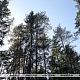 Фото: Ограничение на посещение лесов действует в Свислочском районе