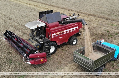 Фото: Belarus' grain harvest nears completion