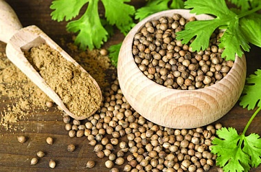 Фото: It helps relieve fatigue and aids in digestion. What properties coriander is valued for