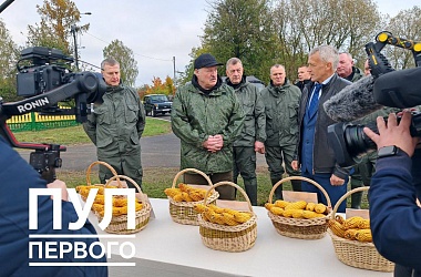 Фото: Лукашенко сегодня работает на малой родине
