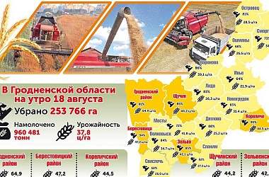 Фото: Уборка урожая на Гродненщине. Цифры на утро 18 августа (инфографика)