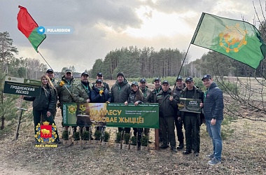 Фото: Руководство Гродненского облисполкома присоединилось к Республиканской акции "Дай лесу новае жыццё"