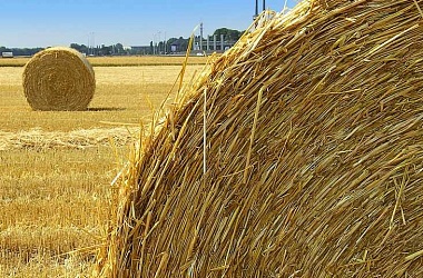 Фото: Можно ли на приусадебном участке складировать сено или солому, рассказали в МЧС