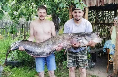 Фото: Slonim fisherman caught catfish in length of human height