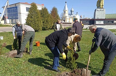 Фото: Акция в честь годовщины освобождения Беларуси