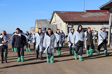 Фото: «Детский сад» для телят