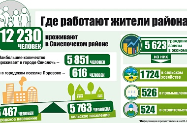 Фото: Где работают жители Свислочского района?