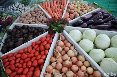 Фото: Горячая линия по вопросам наличия в продаже плодоовощной продукции отечественного производства