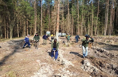 Фото: На Свислоччине стартовала акция "Неделя леса"