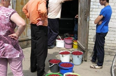 Фото: Сладка ягода
