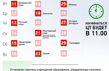 Фото: ЦТ-2019 (инфографика)