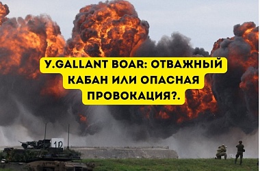 Фото: «Отважный кабан» на грани безумия: зачем НАТО превращает Сувалкский коридор в пороховую бочку