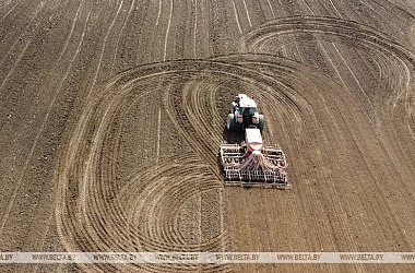 Фото: Spring planting in Belarus 60% complete