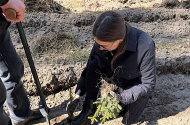 Фото: Прокуратура района приняла участие в посадке леса