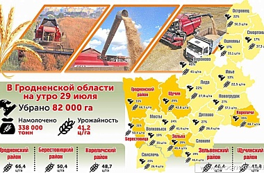 Фото: Сколько гектаров урожая убрано в Гродненской области на 29 июля (инфографика)