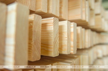 Фото: Export duties on Belarusian timber in effect as from 16 August
