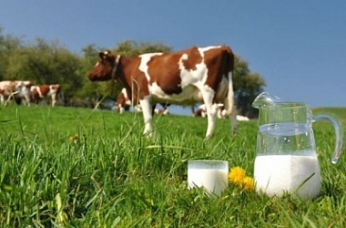 Фото: Минсельхозпрод установил надбавки к закупочным ценам на сельхозпродукцию населения